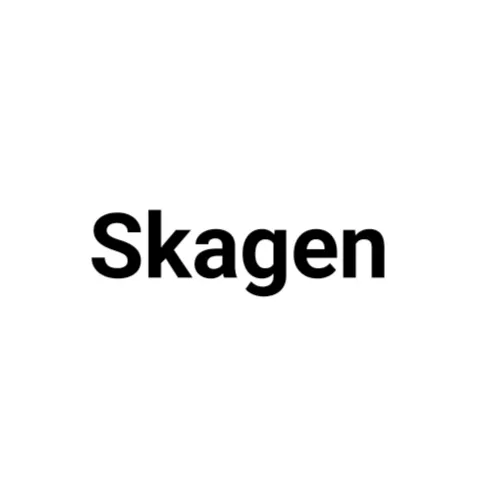 ساعت اسکاگن Skagen