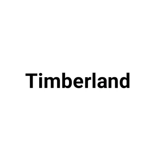 ساعت تیمبرلند timberland