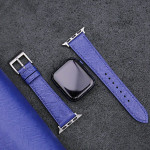 اپل واچ قاب تیتانیومی بند آبی