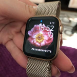 اپل واچ قاب تیتانیومی بند رزگلد