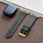 اپل واچ قاب قرمز بند سبز