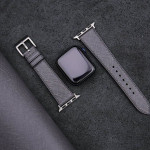 اپل واچ قاب تیتانیومی بند خاکستری